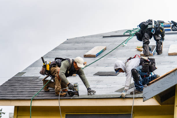 Professional Gutter Installation technician working in Falmouth, KY